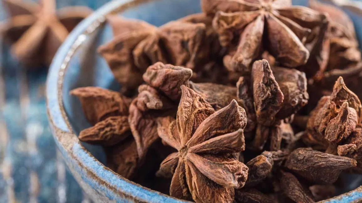 Star Anise — Scientifically proven health and wellness benefits